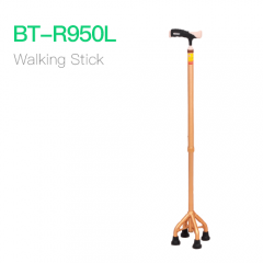 Walking Stick