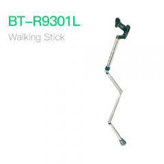 Walking Stick