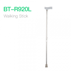 Walking Stick