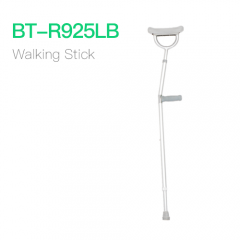 Walking Stick