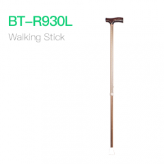 Walking Stick