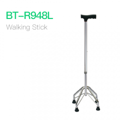 Walking Stick