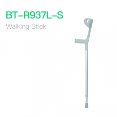 Walking Stick