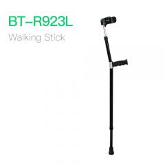 Walking Stick