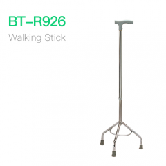 Walking Stick