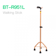 Walking Stick