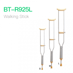 Walking Stick