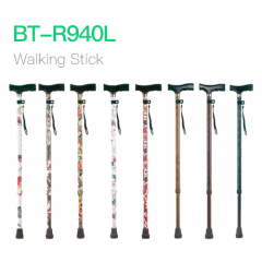 Walking Stick