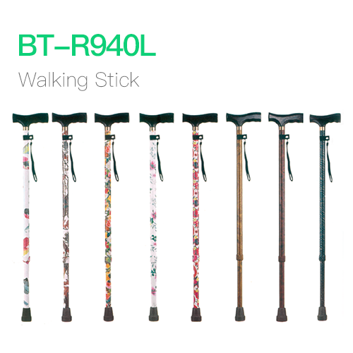 Walking Stick