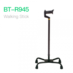 Walking Stick