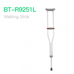 Walking Stick