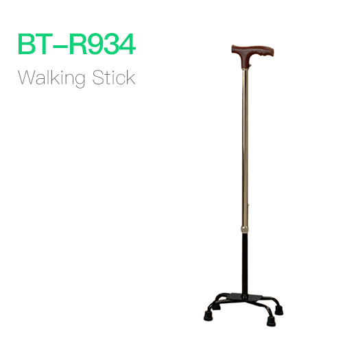 Walking Stick