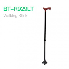 Walking Stick