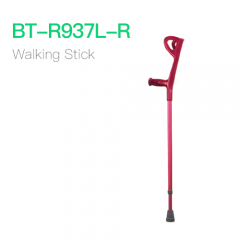 Walking Stick