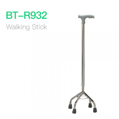 Walking Stick