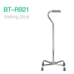 Walking Stick