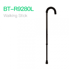 Walking Stick