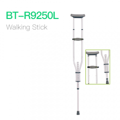 Walking Stick