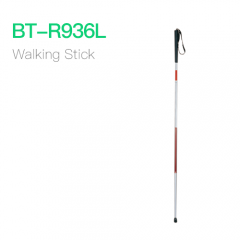 Walking Stick