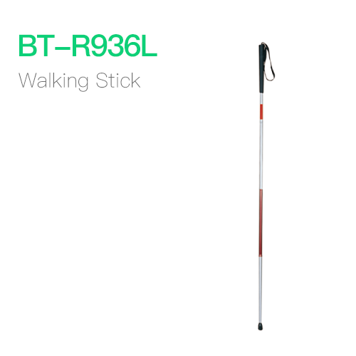 Walking Stick