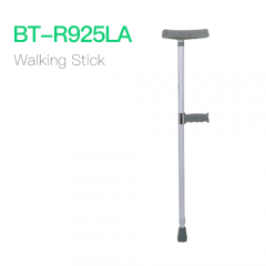 Walking Stick