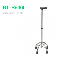 Walking Stick