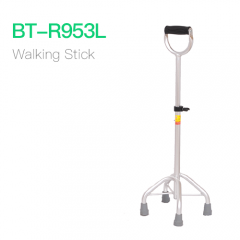 Walking Stick