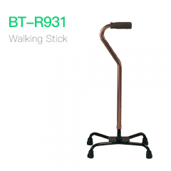 Walking Stick