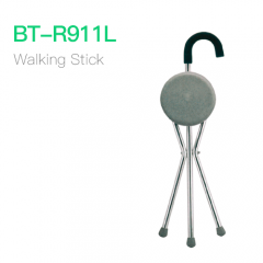 Walking Stick