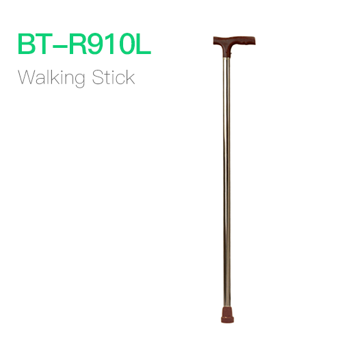 Walking Stick