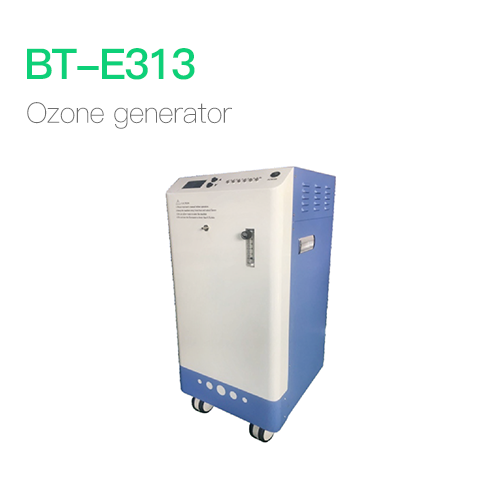 Ozone generator