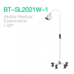 Mobile Medical Examination Light