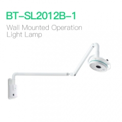 Wall Mounted Operation Light Lamp