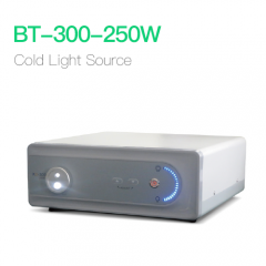 Cold Light Source