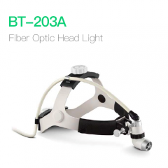 Fiber Optic Head Light