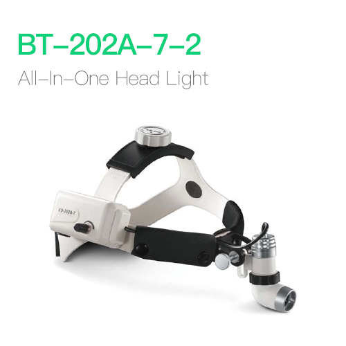 All-in-one Head Light