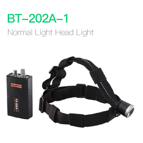 Head Light