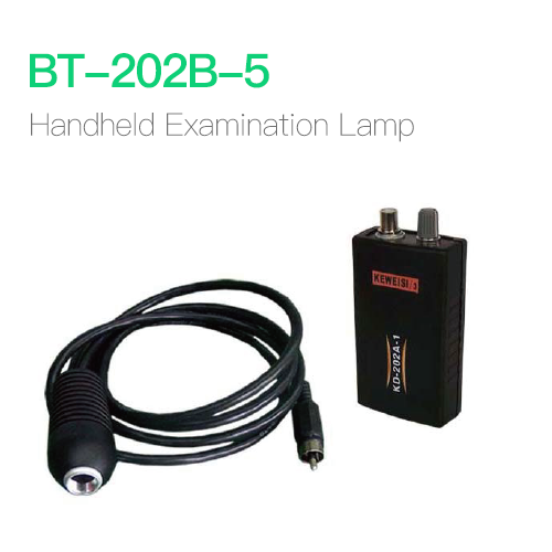 Handheld Examination Lamp