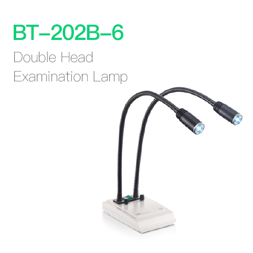 Double Head Examination Lamp