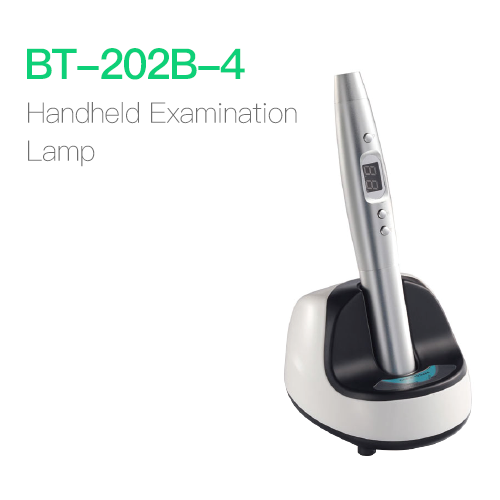 Handheld Examination Lamp