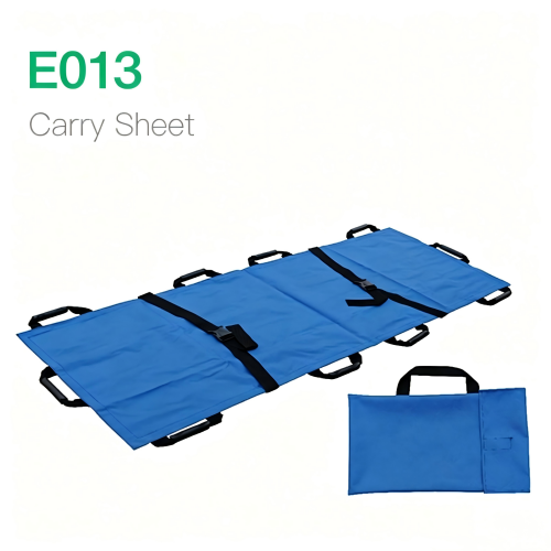 Carry Sheet