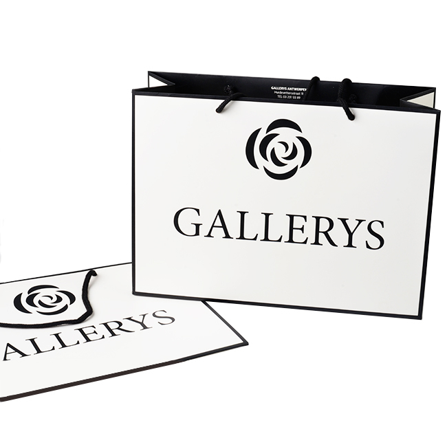 Wholesale new style high quality clothing apparel cosmetic paper shopping bag raw materials of paper bag making custom paper bag