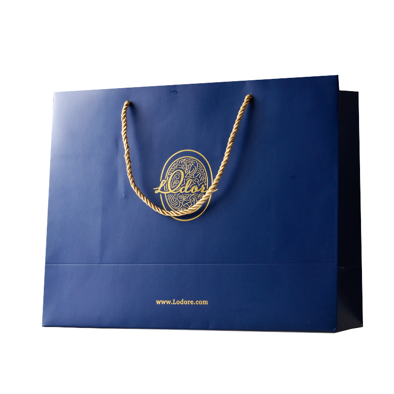 Customized logo two sides logo printing gold hot stamping packaging shopping paper bag