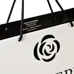 Wholesale new style high quality clothing apparel cosmetic paper shopping bag raw materials of paper bag making custom paper bag