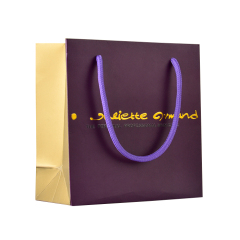 Custom environmental printing shopping friendly clothing paper bag making