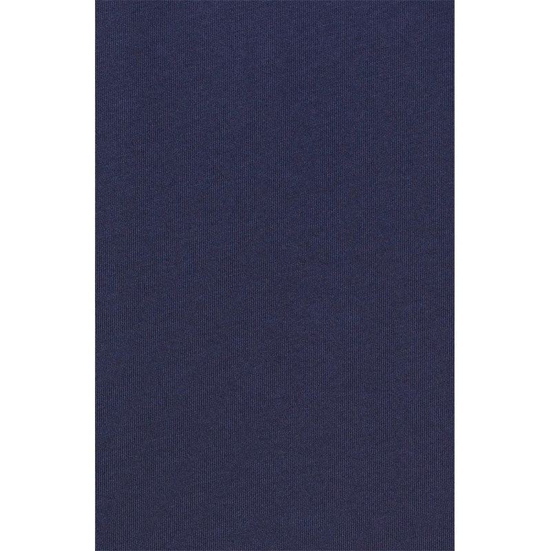 Custom comfort colors basic T shirt for men