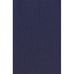 Custom comfort colors basic T shirt for men