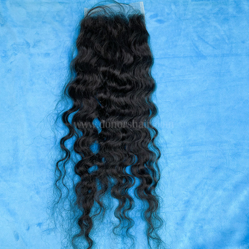 Donors Raw Hair Burmese Curly 5x5 Transparent Lace Closure