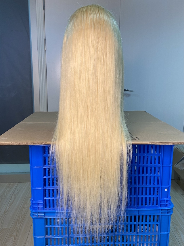 Donors#613 Blonde Straight Transparent Lace Frontal Pre-made Wig