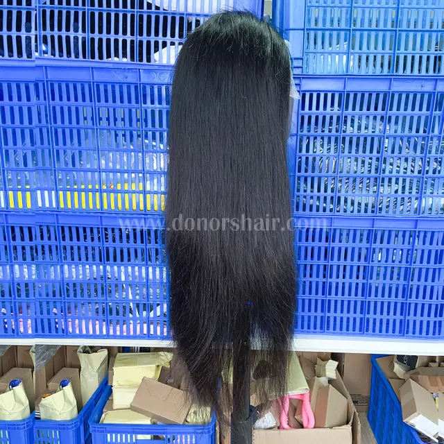 Donors Straight Raw Hair 4x4 Transparent Lace Closure Wig
